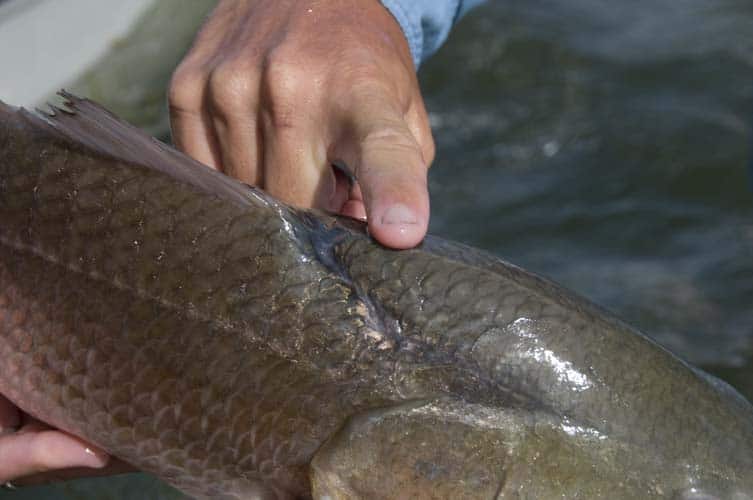 Fishing Texas