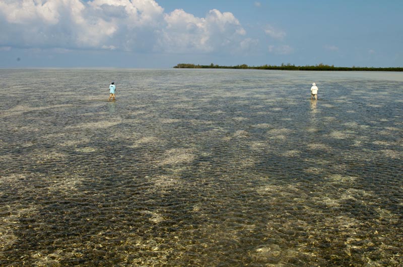 abaco_03.jpg