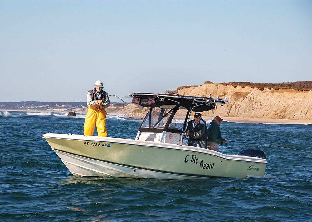 Fly-Fishing for Striped Bass