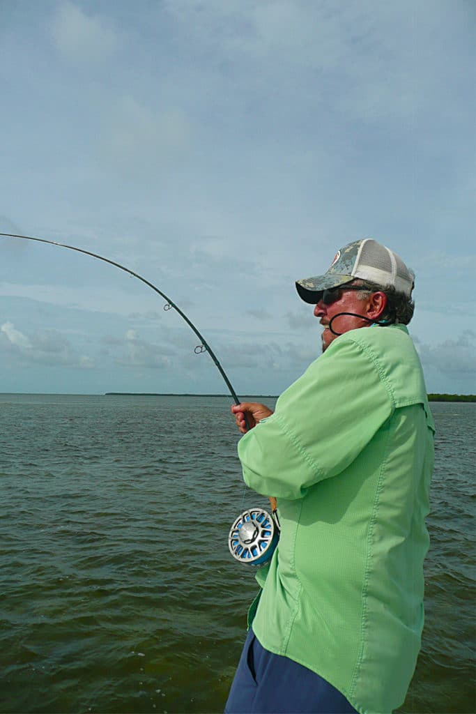 fishing for tarpon