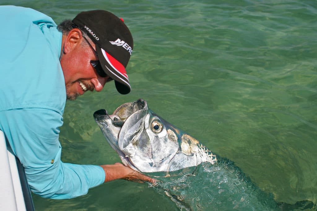 tarpon