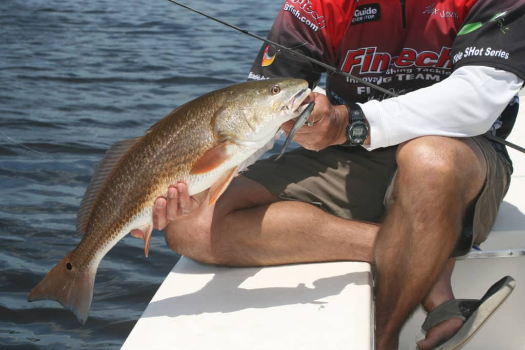 fish in boat