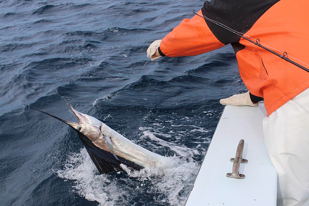 fish pulled out of water