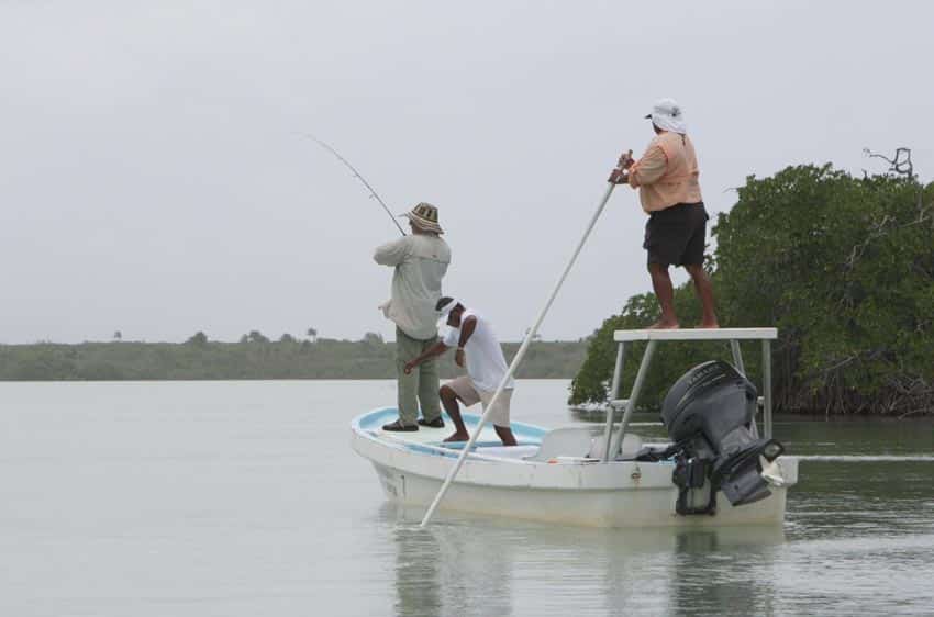 ascensionbay_fishing.jpg