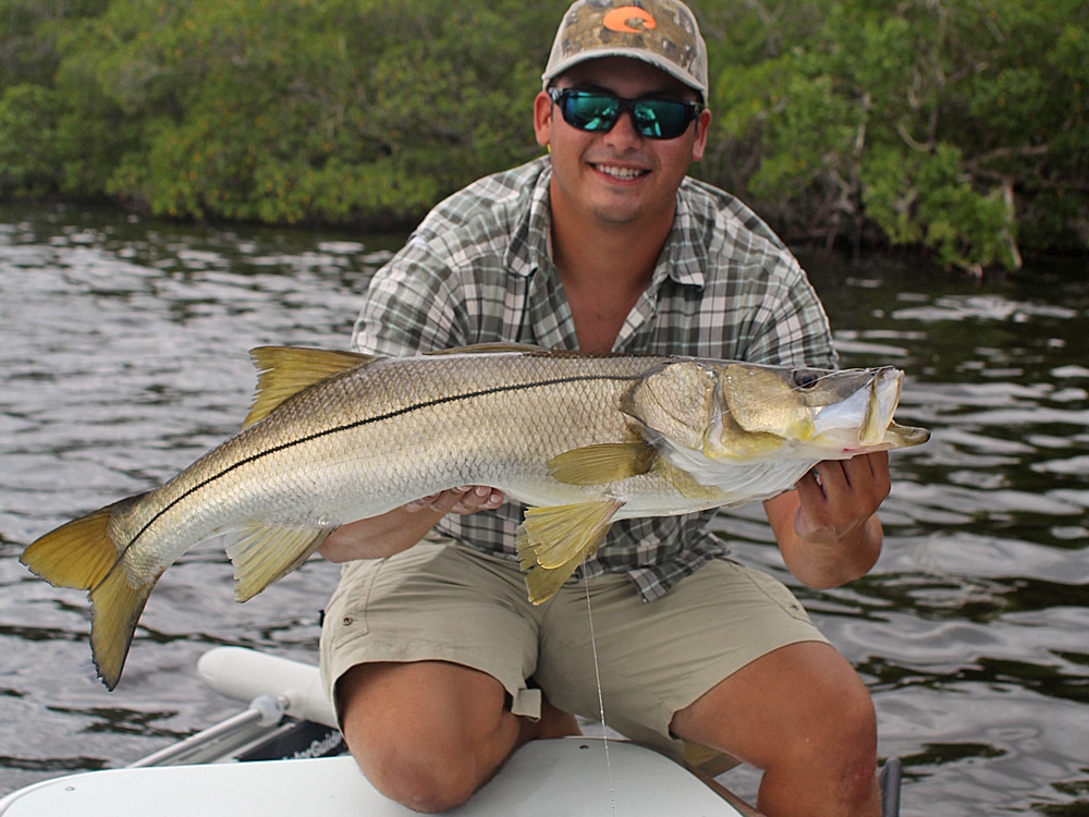 Big snook winter in the Everglades National Park