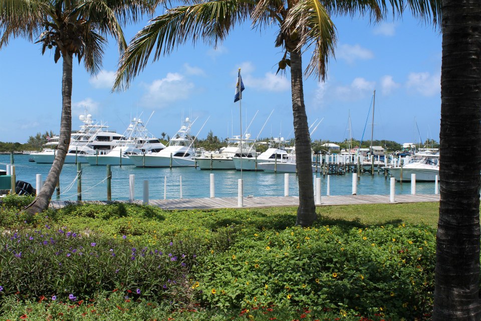 bahamas-billfish-championship-leg-1-0319.jpg