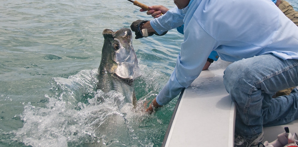 bahia-honda-tarpon-fishing-25.jpg