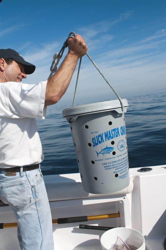 mako shark fishing in California