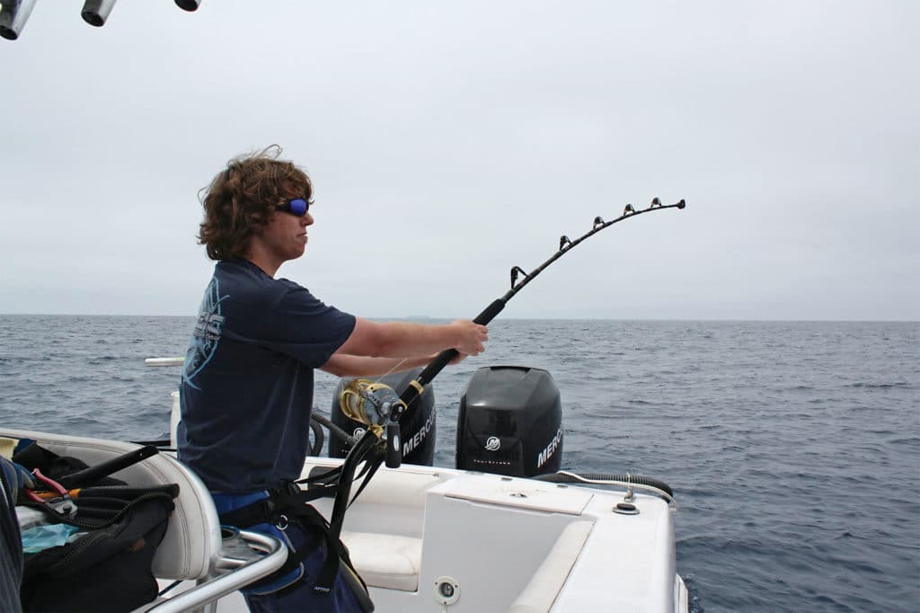 mako shark fishing in California