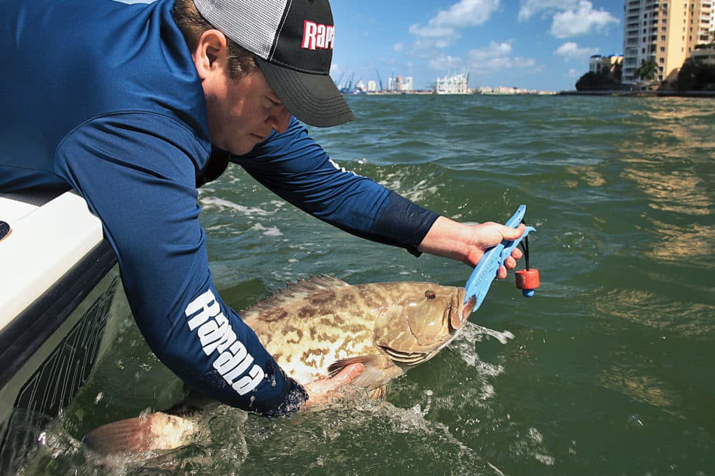 fishing inshore for grouper