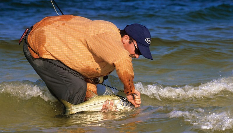 beach-snook-beach.jpg