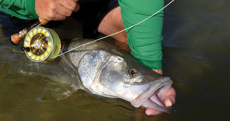 Snook Flies, Fly Fishing for Snook