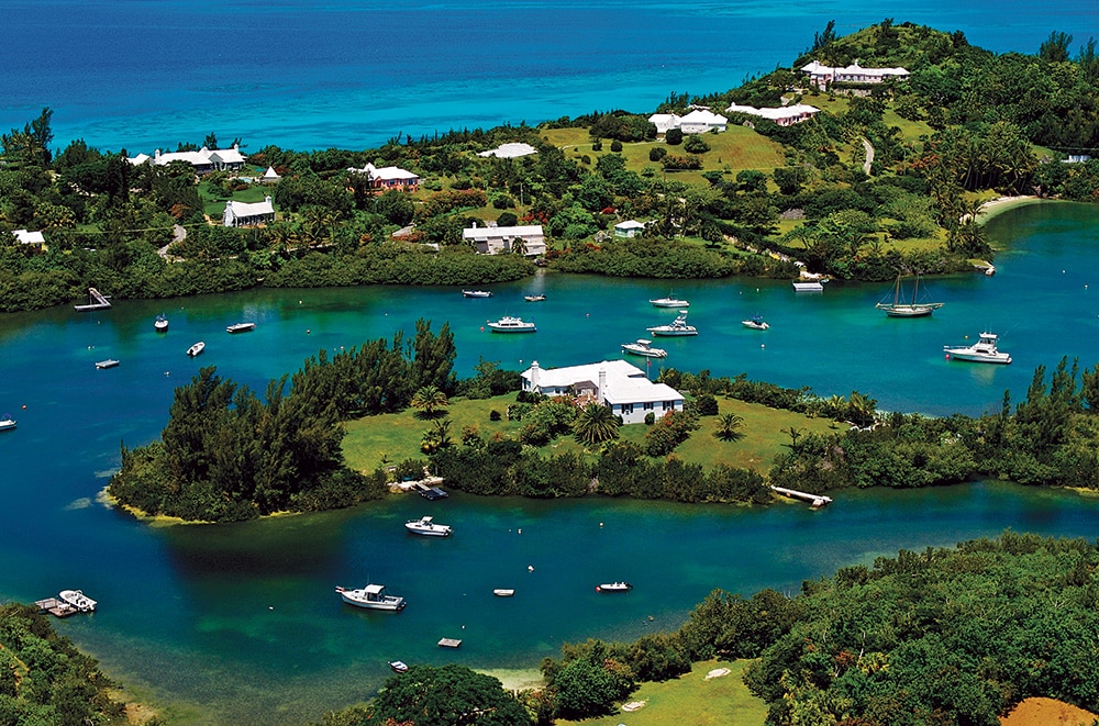 wahoo in Bermuda