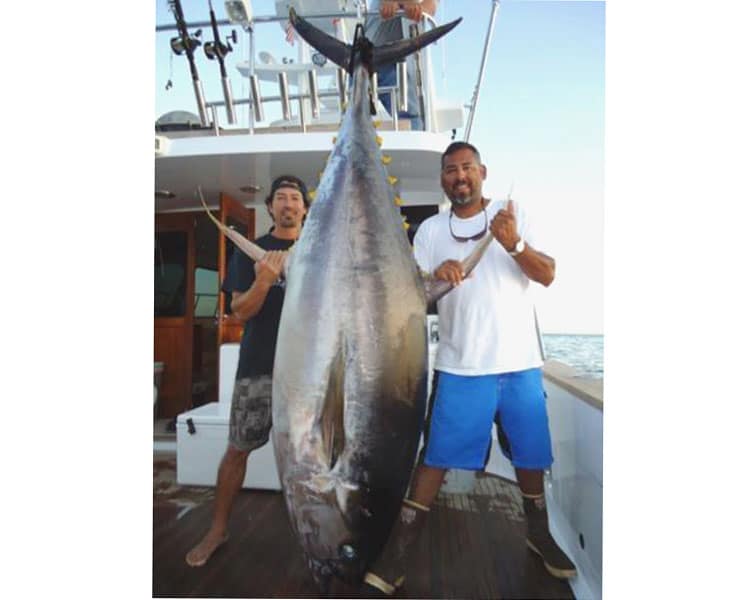 big yellowfin tuna SWS MAR