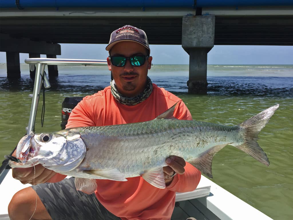 Given that tarpon are known to exceed 200 pounds in weight, juvenile specimens 30 pounds and smaller are considered babies.