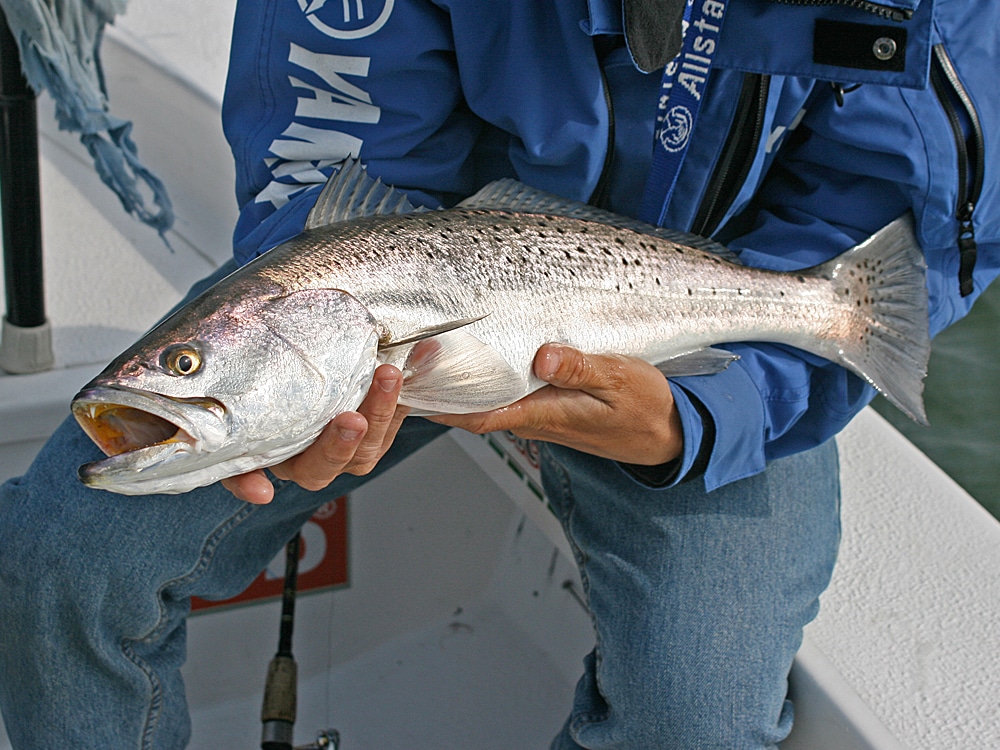 Texas waters produce big speckled trout