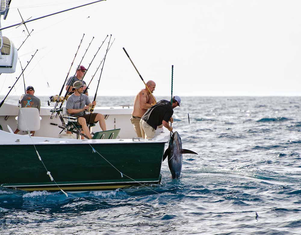 Elusive bigeye tuna comes over the transom