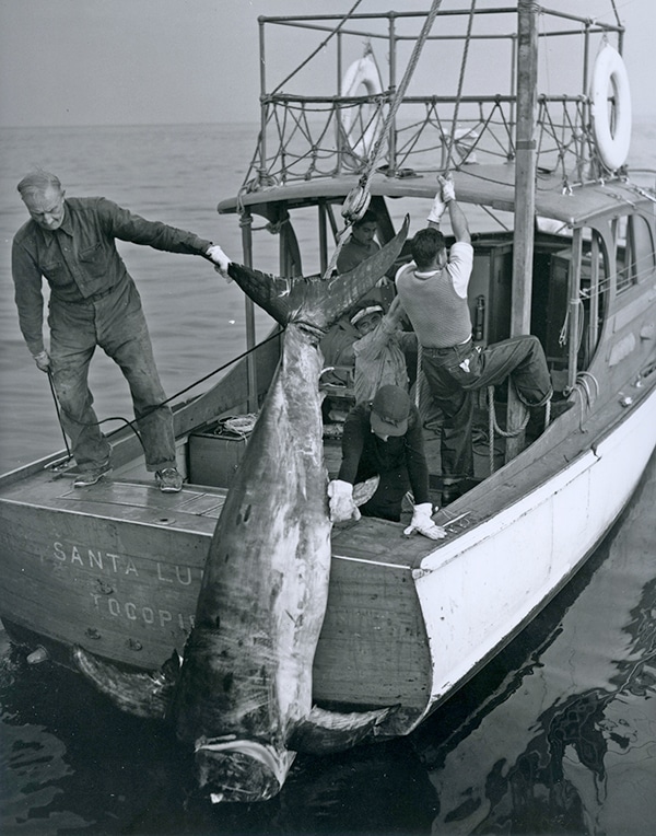 Rare Historical IGFA Fishing Photos - 5