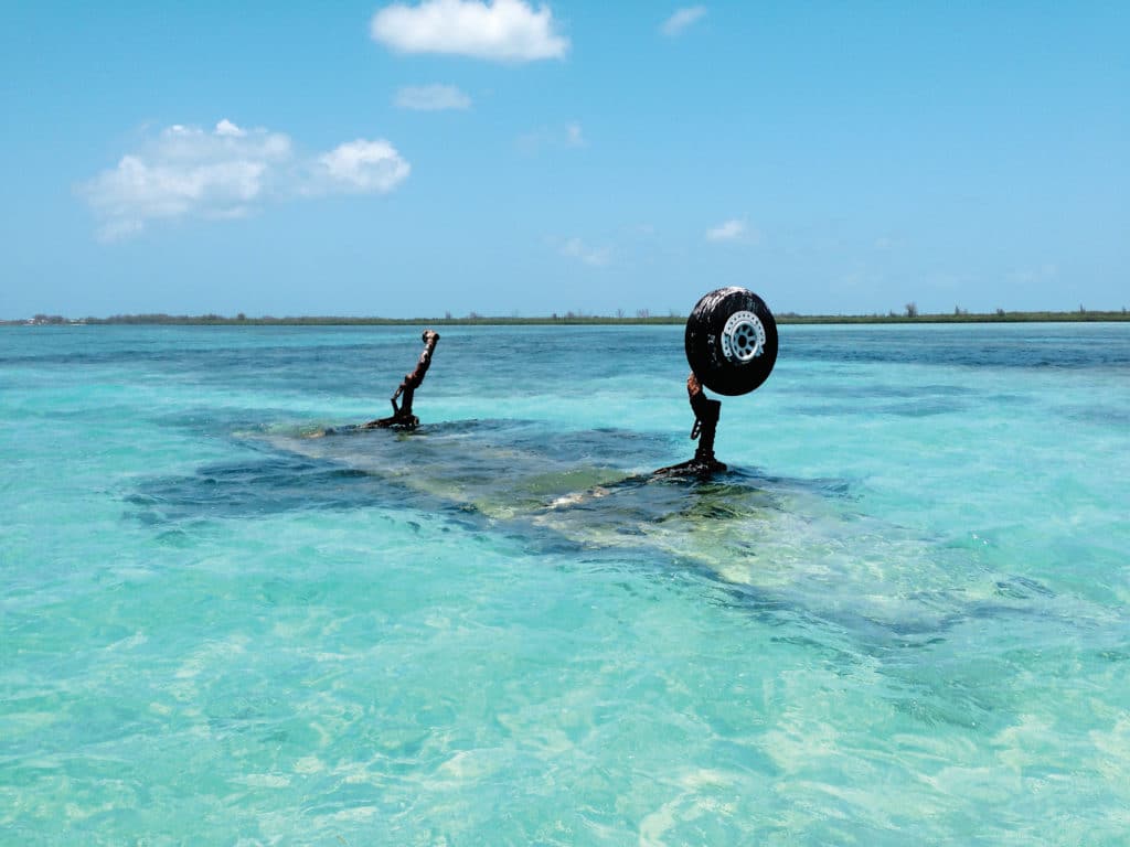 Bimini fishing