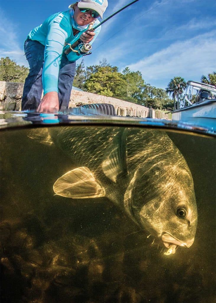 Fishing for Black Drum