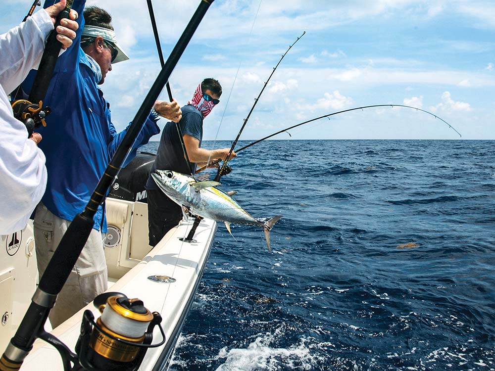 Big Blackfin Tuna Fishing