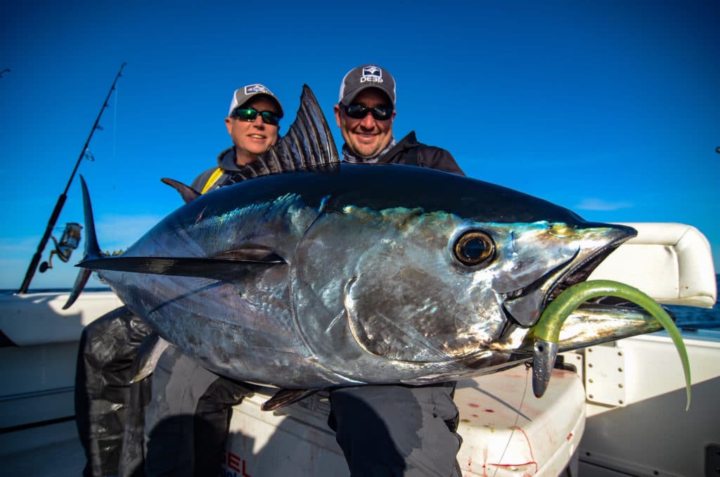 Bluefin tuna stage off North Carolina's Outer banks