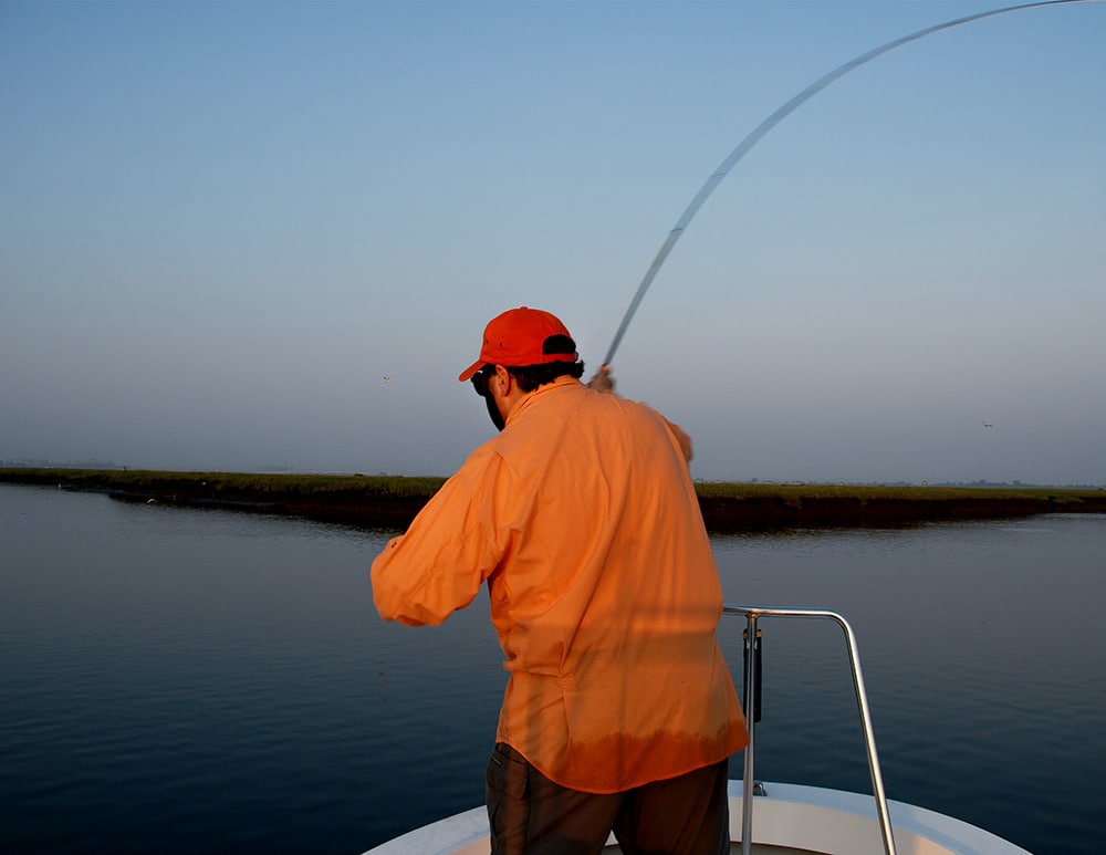 Targeting shallow-water bluefish