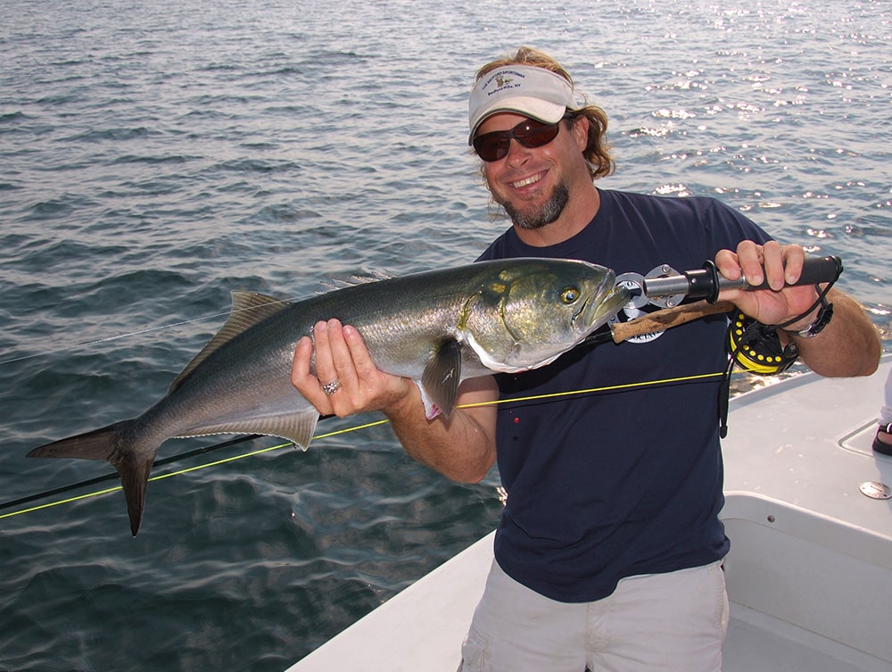 Large bluefish