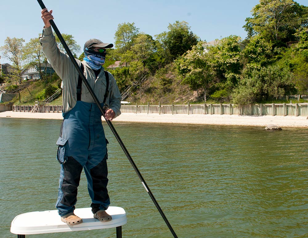 Stealthy approach on bluefish