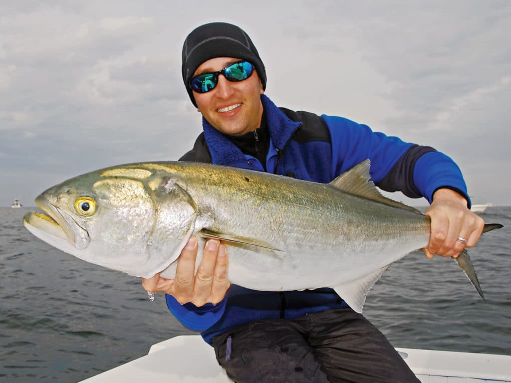 How to Catch Bluefish, Bait and Lures for Bluefish