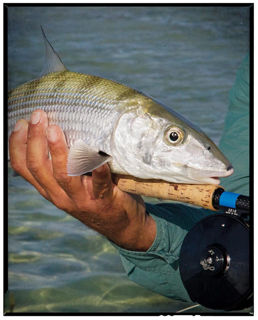 inshore fishing in Cuba