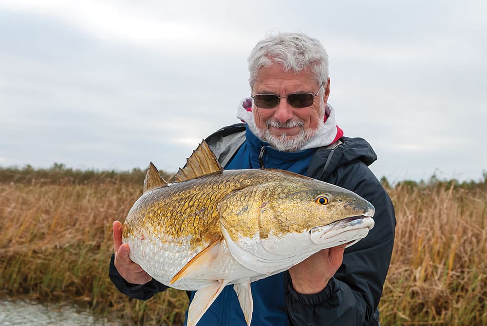 bull redfish