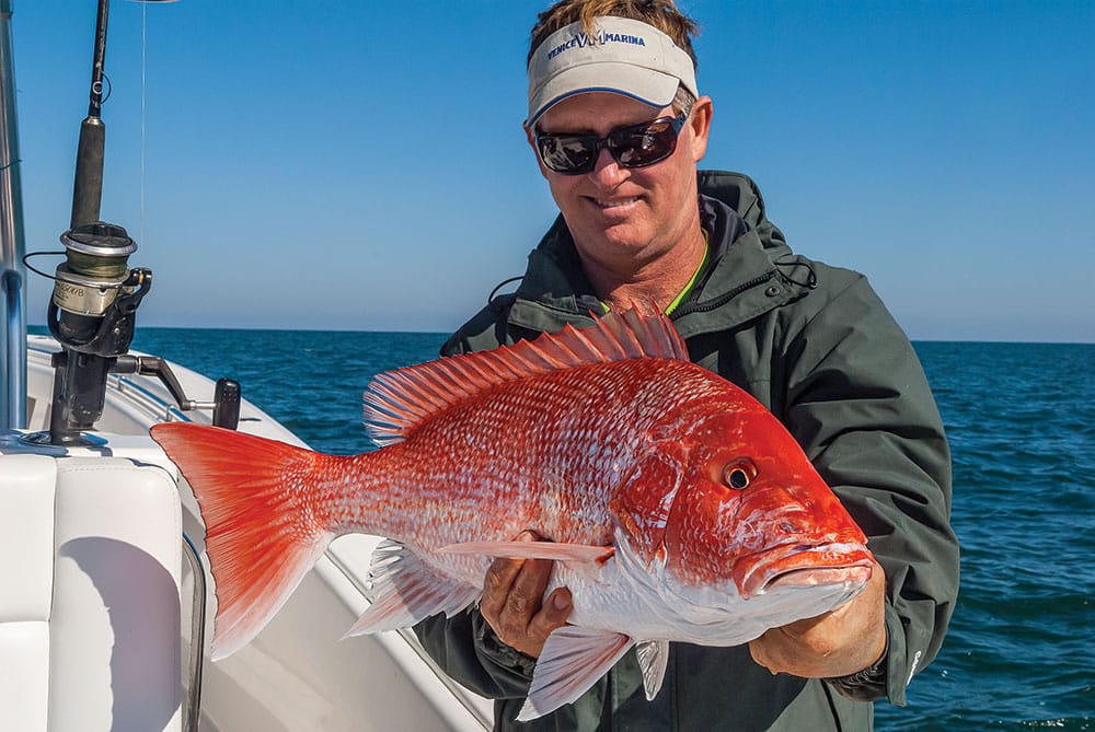 red snapper in Gulf of Mexico