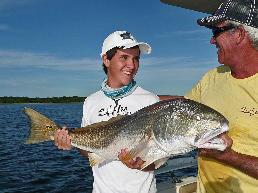 Bull redfish congregate off Alabama's coast during winter