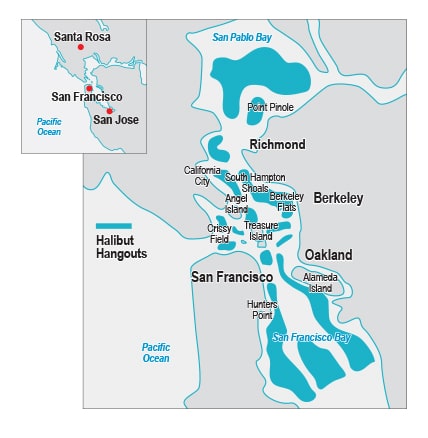 Trolling for California Halibut