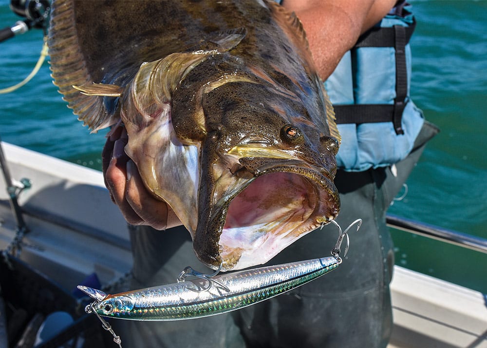 Trolling for California Halibut