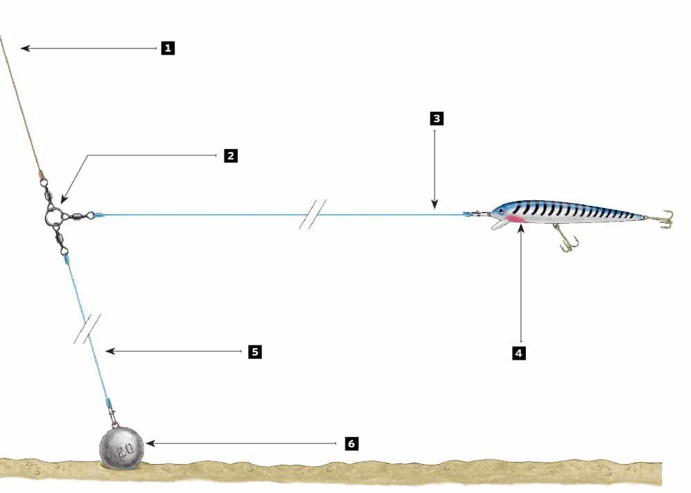 Trolling for California Halibut