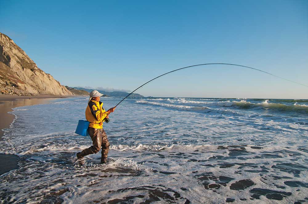 california-halibut-4.jpg