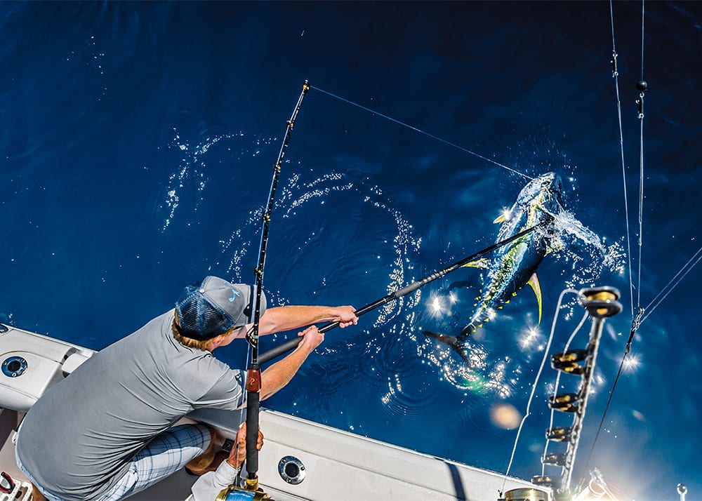 Fishing Mid-Atlantic Canyons