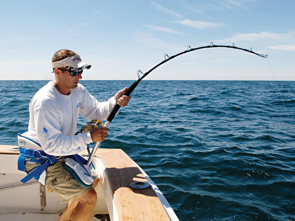 For sharking in New York Bight, stand-up rods and lever-drag reels loaded with 50- to 80-pound line are standard, and circle hooks have become commonplace.