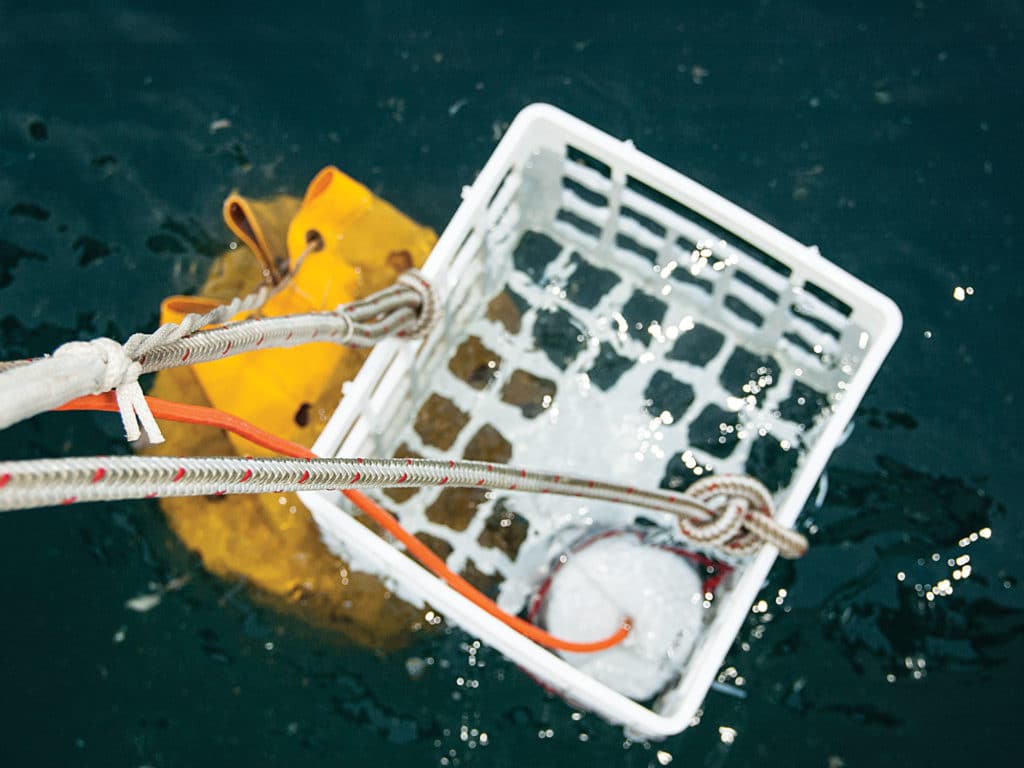 Most sharking is done adrift, using chum to attract the sharks.