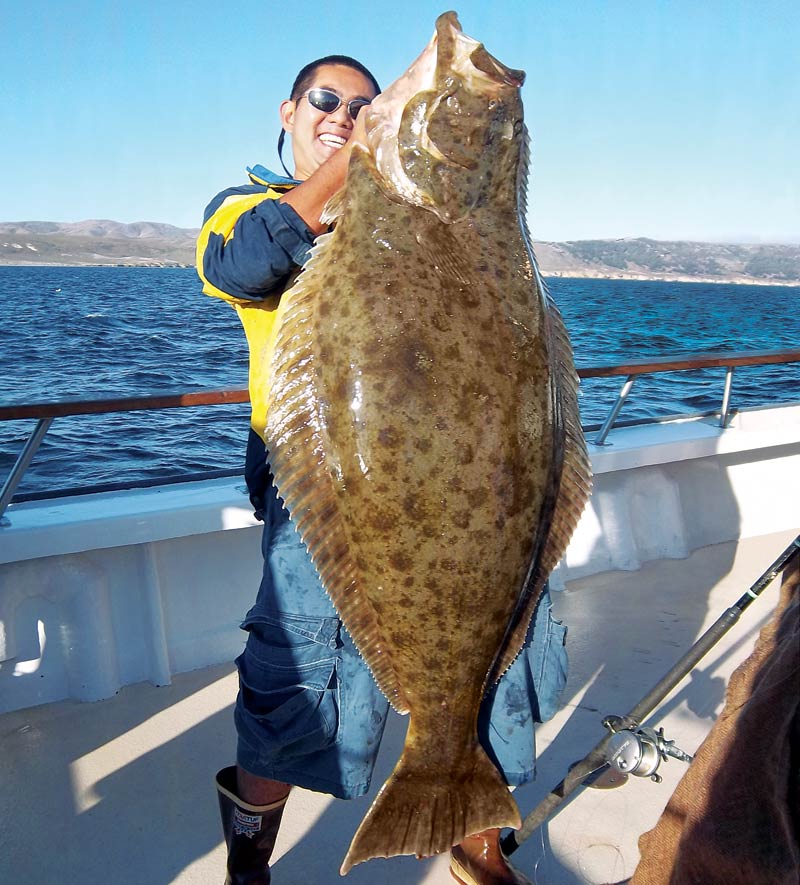 channel-islands-halibut-main.jpg