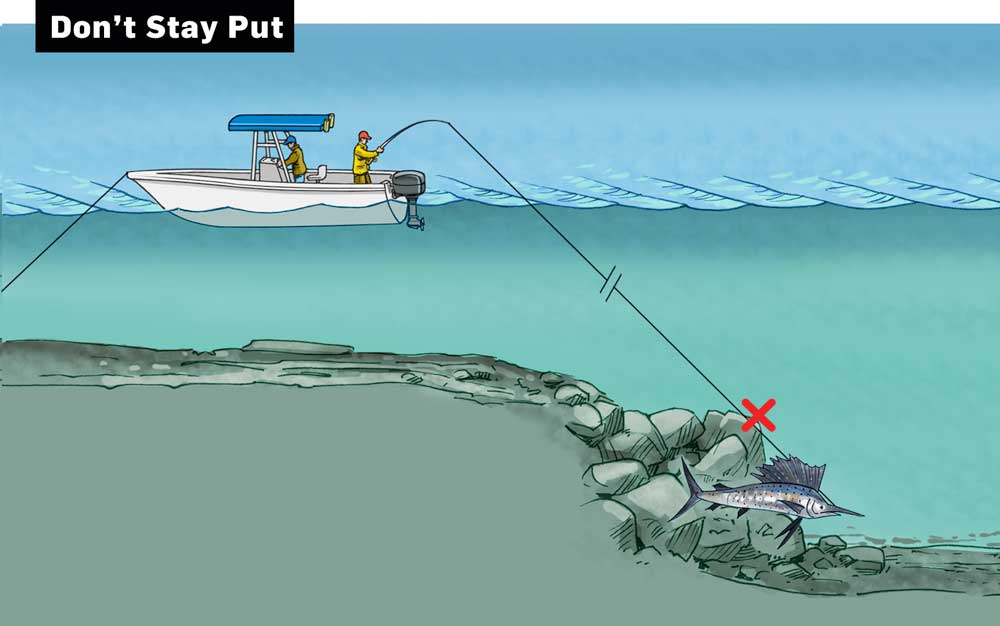 Use a release buoy and follow the fish