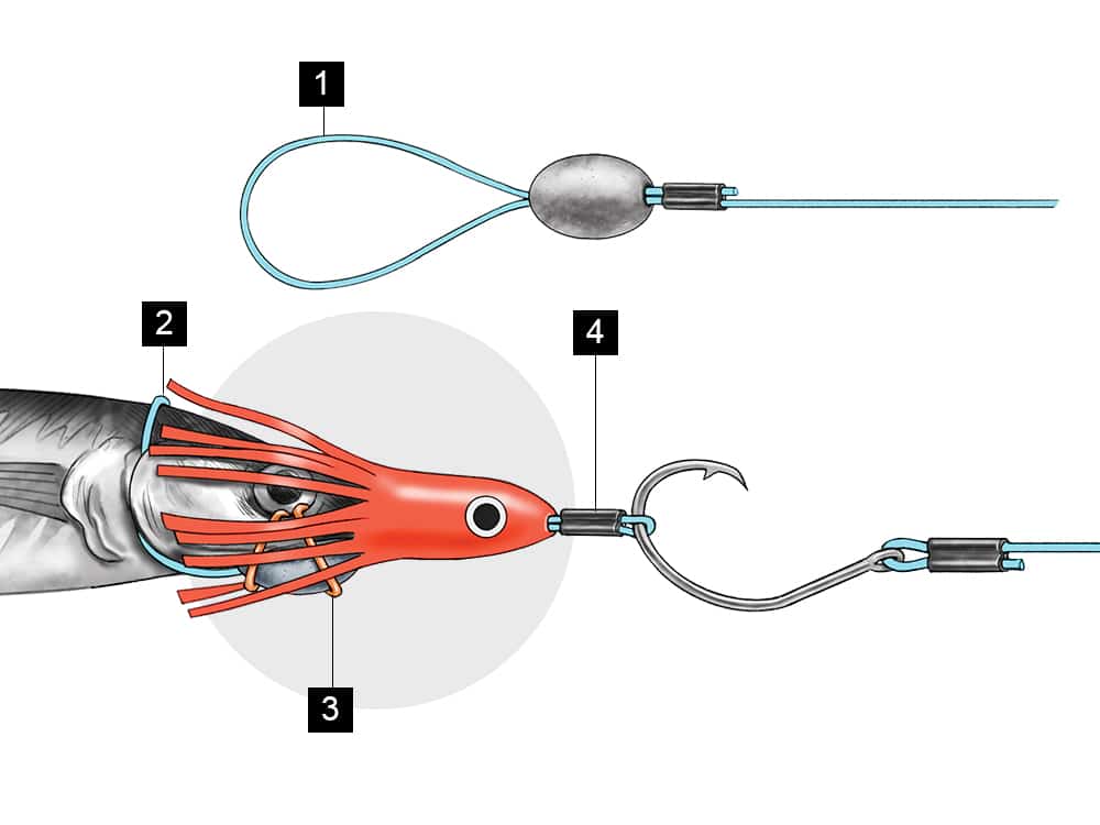 How to Rig a Ballyhoo, Rigging Ballyhoo for Trolling