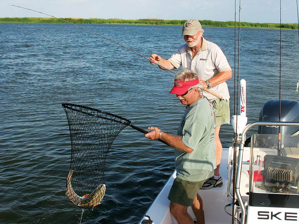 using net to catch fish