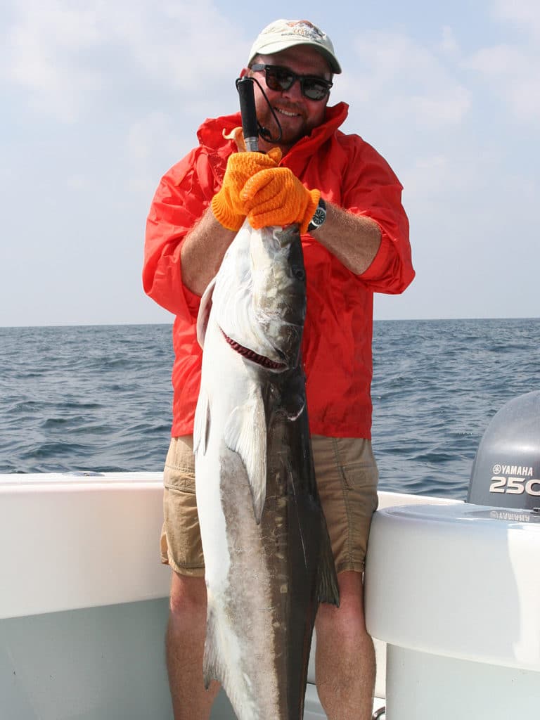 The author boated this Texas state fly fishing record cobia of 53.44 pounds.