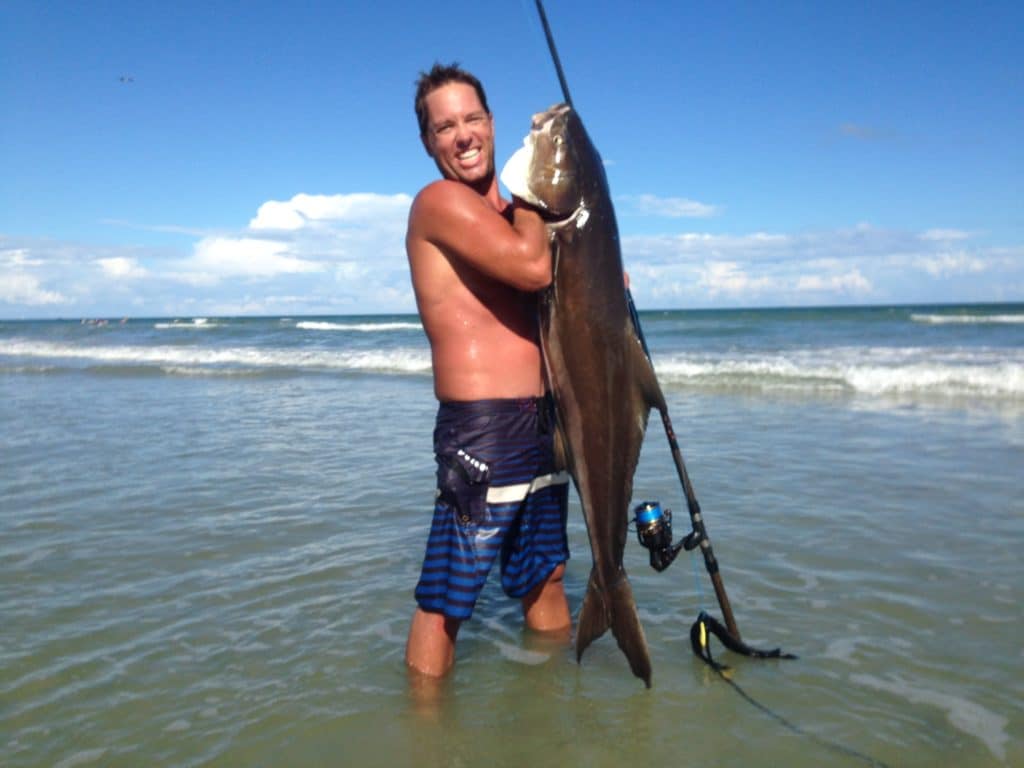 Cobia