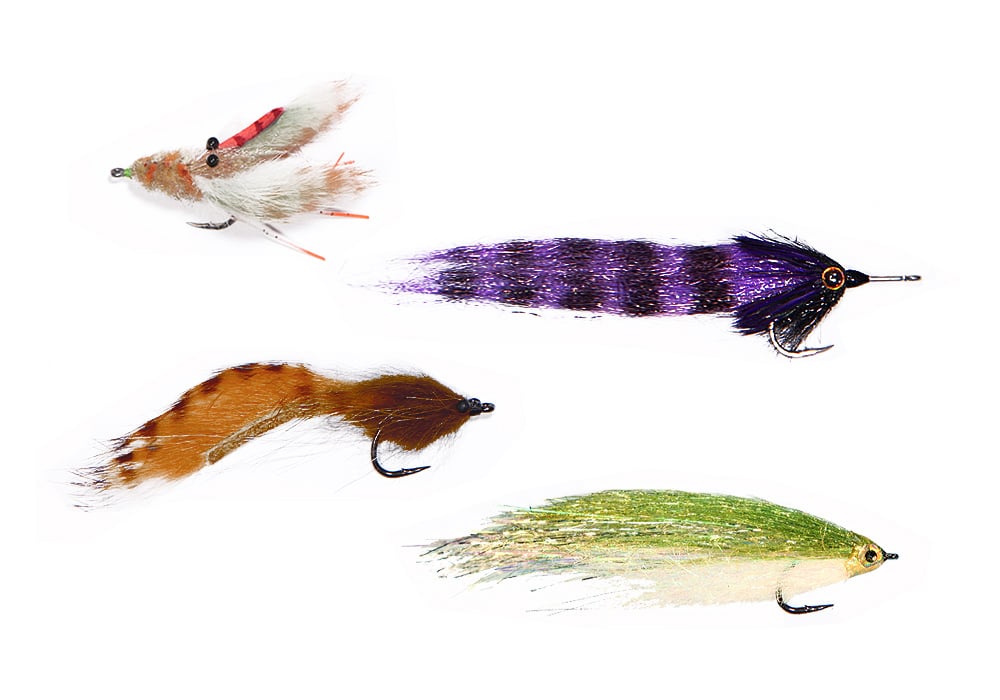 Popular cobia flies