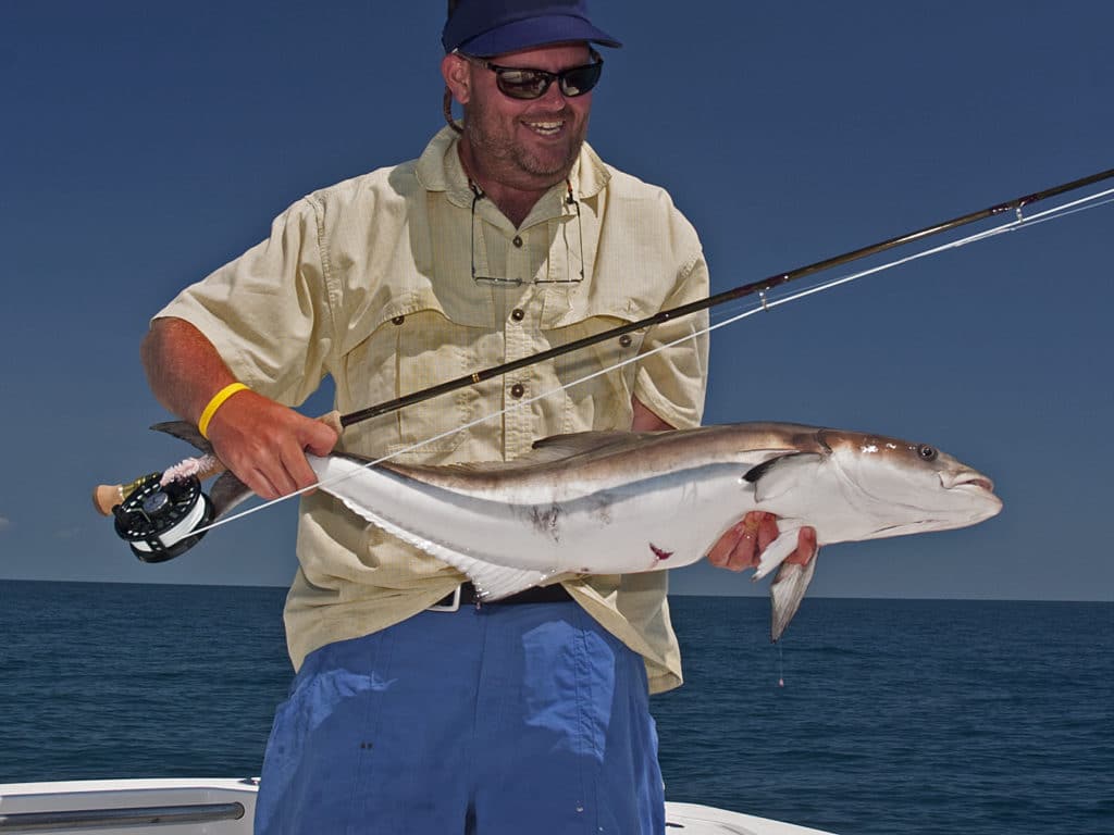 Bring 2 fly rods for cobia, one rigged with a floating line and the other with a sink-tip.