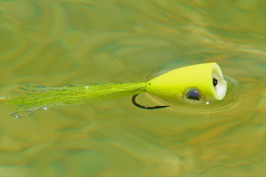 Large poppers draw attention from cobia and gets them excited and aggressive.